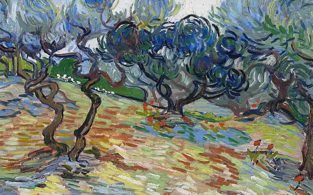 Olive Trees by Vincent Van Gogh
